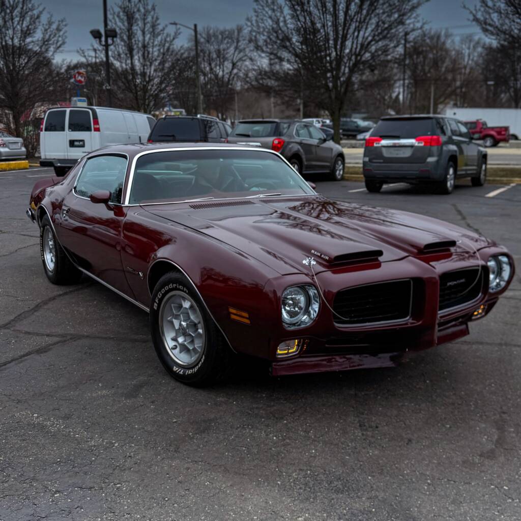 pontiac firebird detailing